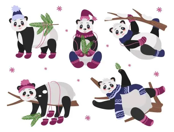 Vector illustration of Christmas set of cute pandas on trees in different poses, in warm winter clothes with fir branches. Vector illustration of characters for holiday cards, design or decor