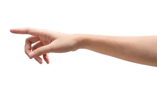 istock Woman hand touching or pointing to something isolated on white background. 1390967248