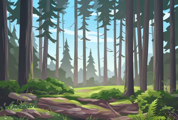 Idyllic Forest Glade Vector illustration of a beautiful sunlit forest glade with bushes, ferns and flowers. idyllic countryside stock illustrations