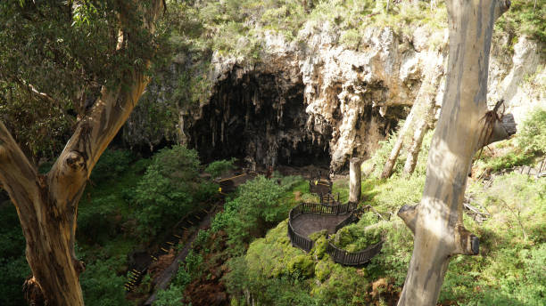 Lake Cave with suspended table in the Margaret River area of Western Australia. stock photo