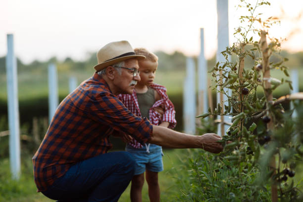istock Grandfather and grandchild bonding 1390976562