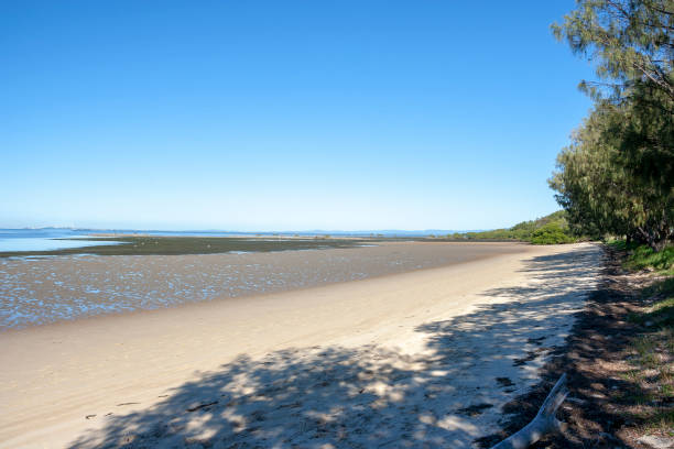 istock sandy beaches of gold coast australia 1390976719