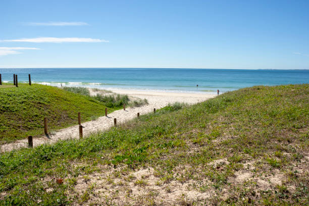 istock sandy beaches of gold coast australia 1390976740