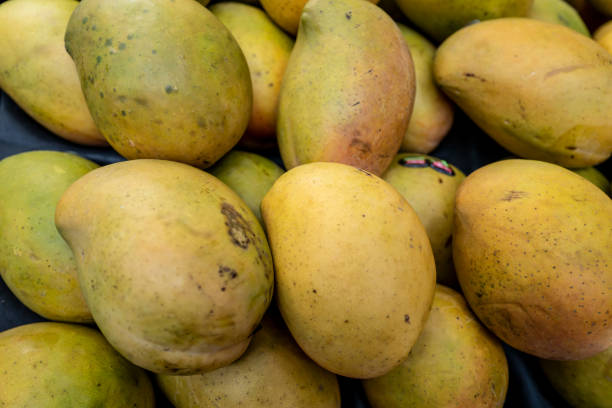 istock Mangoes in a pile. 1390976933
