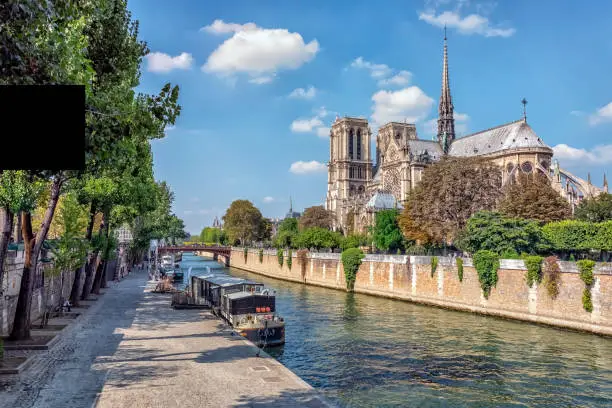 Notre Dame Cathedral in Paris city