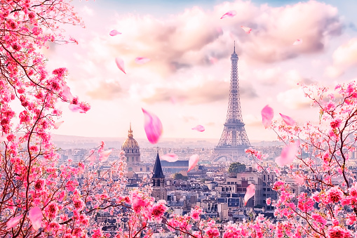 Paris city panorama in daytime