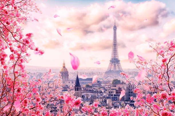 paris city in the springtime - seine river paris france france famous place imagens e fotografias de stock