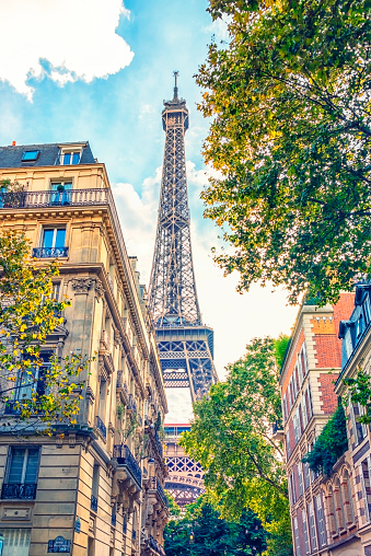 Eiffel Tower in the daytime, Paris, France