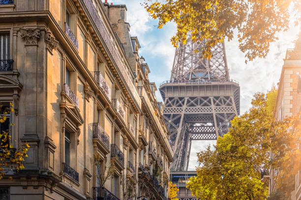 istock Eiffel Tower in Paris City 1390978110