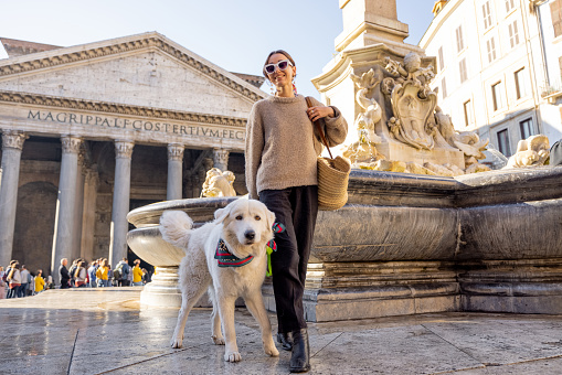 Woman walks with her dog near Pantheon in Rome. Style caucasian woman with her adorable white italian shepherd dog traveling in Italy