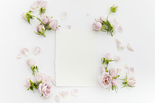 Framework from roses and petals on white background. Flat lay