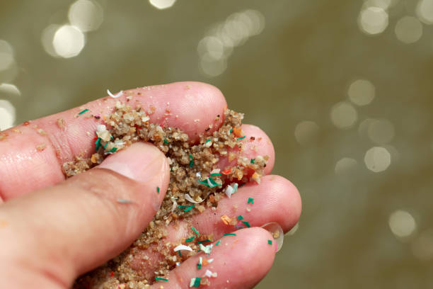 istock Close-up side shot of hands shows microplastic waste contaminated with the seaside sand. Microplastics are contaminated in the sea. Concept of water pollution and global warming. 1390981300
