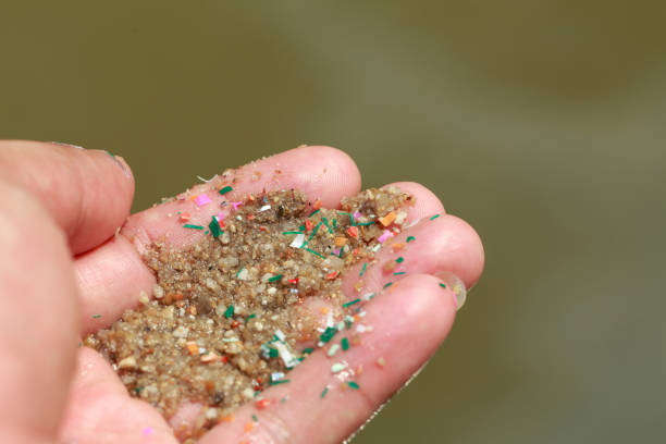 istock Close-up side shot of hands shows microplastic waste contaminated with the seaside sand. Microplastics are contaminated in the sea. Concept of water pollution and global warming. 1390981307