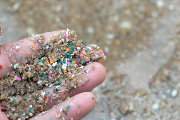 Close-up side shot of hands shows microplastic waste contaminated with the seaside sand. Microplastics are contaminated in the sea. Concept of water pollution and global warming. stock photo