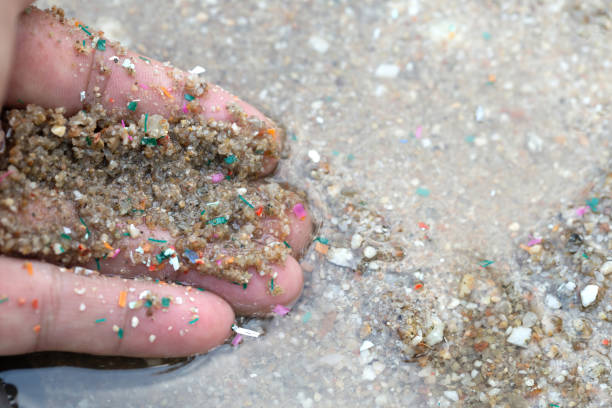 Close-up side shot of hands shows microplastic waste contaminated with the seaside sand. Microplastics are contaminated in the sea. Concept of water pollution and global warming. stock photo