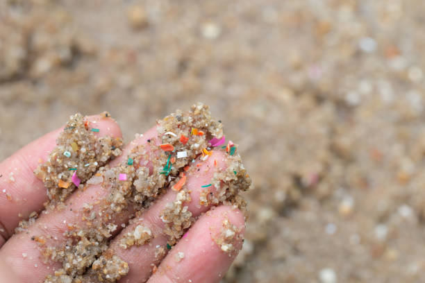 istock Close-up side shot of hands shows microplastic waste contaminated with the seaside sand. Microplastics are contaminated in the sea. Concept of water pollution and global warming. 1390981326