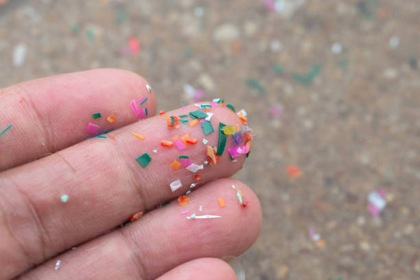istock Close-up side shot of hands showing microplastics on the beach. Microplastics are contaminated in the sea. Concept of water pollution and global warming. Climate change idea. 1390981330