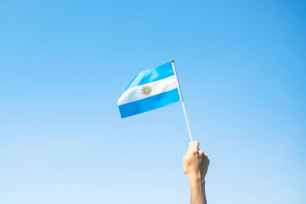 рука держит флаг аргентины на фоне природы. 9 июля дня независимости, 25 мая день революции и счастливые праздничные концепции - argentinian ethnicity стоковые фото и изображения