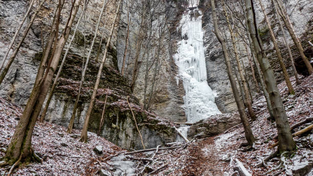 Large frozen icefall in winter forest. Brankovsky waterfall, Slovakia stock photo