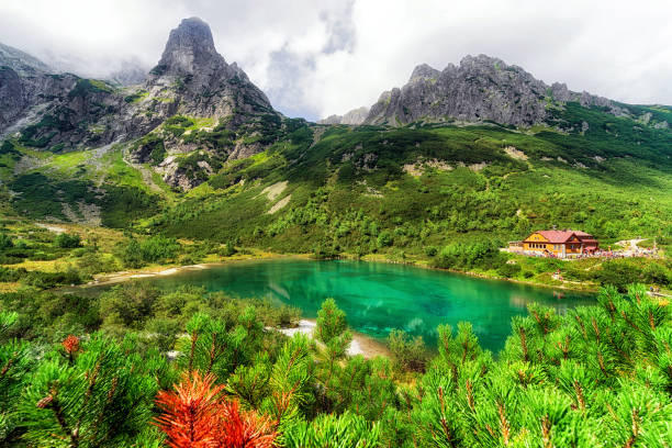 озеро зеленое плесо в горах высокие татры, словакия - tatry стоковые фото и изображения