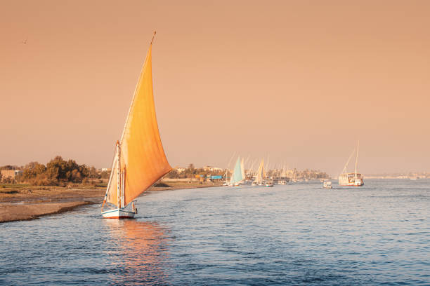 felucca ist ein traditionelles segelboot, das für den touristischen transport und die fahrt auf dem nil in der stadt luxor in ägypten bei romantischem sonnenuntergang verwendet wird - felucca boat stock-fotos und bilder