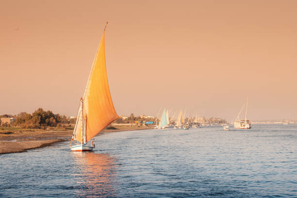 faluca es un velero tradicional utilizado para el transporte turístico y el crucero por el nilo en la ciudad de luxor en egipto a la hora romántica del atardecer. - felucca boat fotografías e imágenes de stock