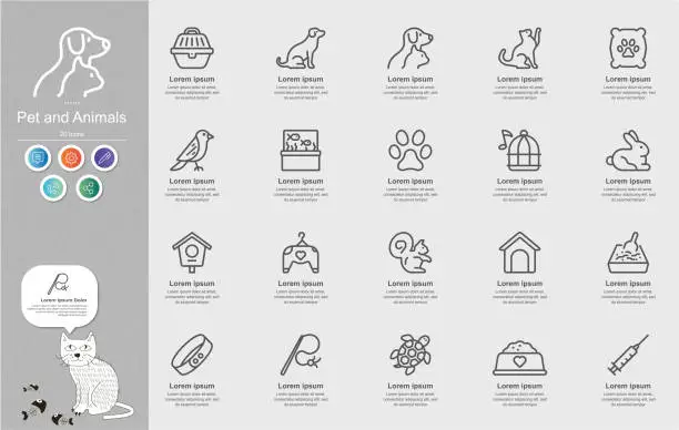 Vector illustration of Pet , Animals , Domestic Animals Line Icons Content Infographic