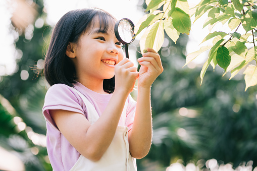 Asian little girl is using magnifying glass to play in the park