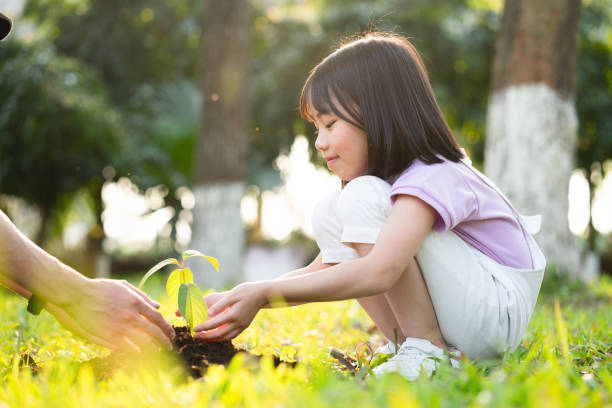 istock Image Asian little girl holding a sapling in her hand 1390990736