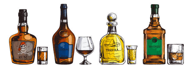 illustrations, cliparts, dessins animés et icônes de ensemble de boissons alcoolisées dessinées à la main. bouteille de rhum, cognac, tequila, whisky. illustration vectorielle de boisson, croquis à l’encre - whisky cocktail glass rum