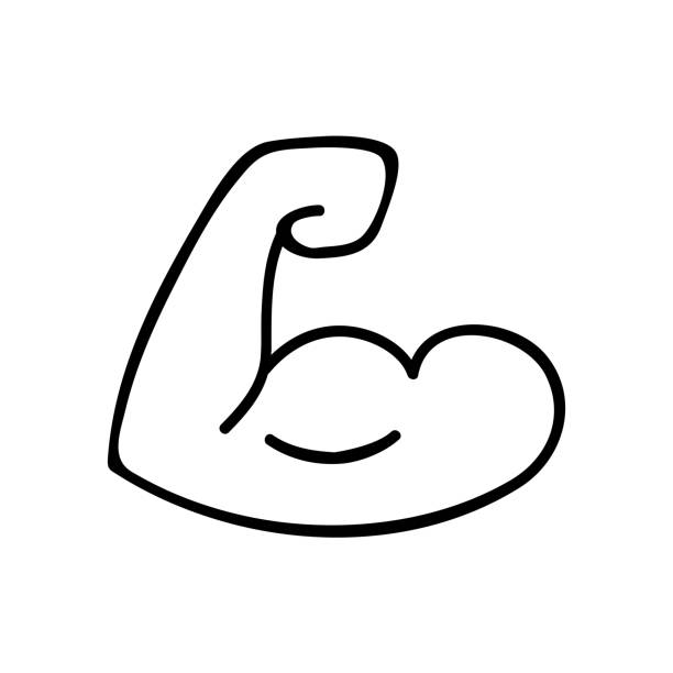 Biceps thin line icon on white background - Vector Biceps thin line icon on white background - Vector illustration muscle strength icon stock illustrations