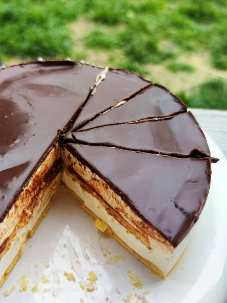 istock sliced round chocolate cheesecake, puffy creamy cake close-up 1390994446