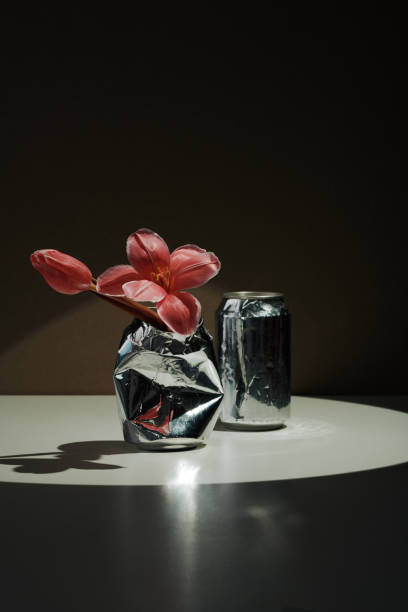 Vertical contemporary still life composition of beautiful pink flowers and crumpled drink cans, dark brown wall background in spotlight