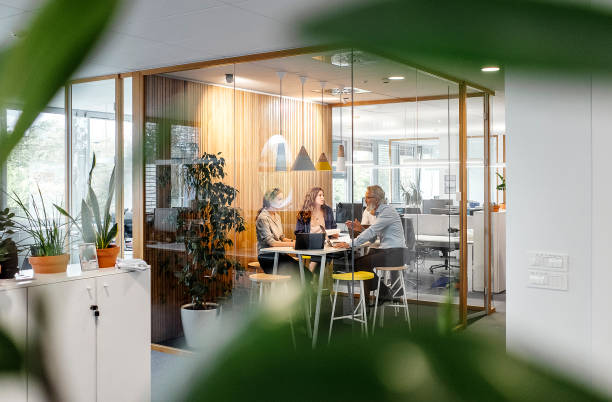 istock Business People Having a Meeting 1390996033