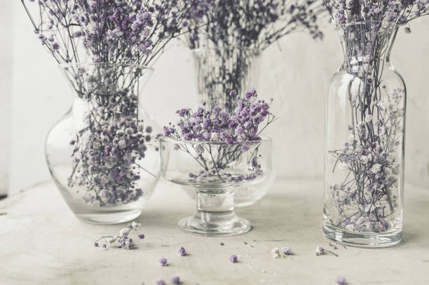 gypsophiles violettes fleurs sèches dans de nombreux bocaux en verre et bouteilles sur fond blanc. image d’art, nature morte florale, contenu sélectif - flower pot vase purple decor photos et images de collection