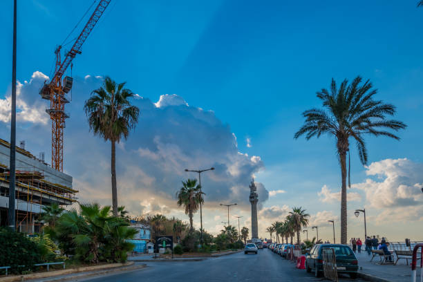 A bright summer scene on the island of Brač in Croatia, featuring tall palm trees standing above traditional Dalmatian stone houses. The vibrant blue sky and warm Mediterranean light evoke a laid-back, coastal atmosphere, perfect for vacation and travel imagery.