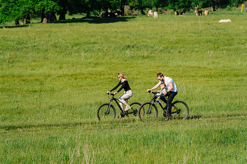 Parents and their infant baby riding on car track in a countryside, along trees and fields. Longshot, from distance. Side view. Cows lying on a grass.