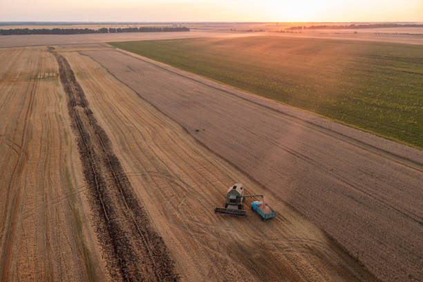 istock Combine loading grain to the truck 1391002288