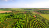 istock View of agricultural fields 1391003710