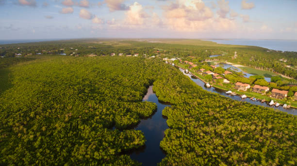 istock Residential houses on Key Largo island 1391003725
