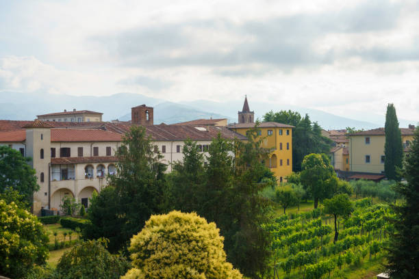 istock Pistoia, Tuscany: vineyard in the city 1391008414