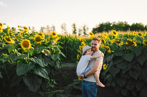 Father with little baby son in sunflowers field during golden hour. Dad and son are active in nature. Family walks in a summer field. Happy father's day