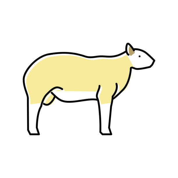 stockillustraties, clipart, cartoons en iconen met texel sheep color icon vector illustration - texel