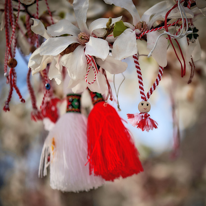 Red and white Martenitsa or Martisor bracelets, hanging on the branches of the blooming tree - Bulgarian and Romanian spring tradition