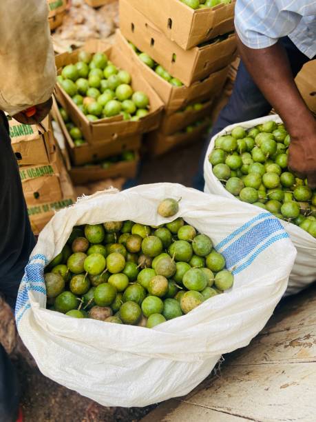 istock fresh passion fruits in Uganda 1391011522
