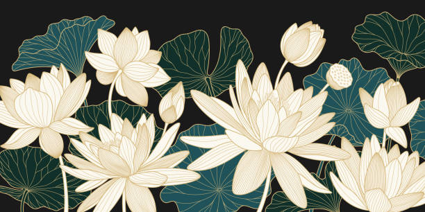 Vector background with golden lotuses and leaves. Luxury design template with line lily. Nelumbo nucifera flower for banners, invitations, cover and packaging design Vector background with golden lotuses and leaves. Luxury design template with line lily. Nelumbo nucifera flower for banners, invitations, cover and packaging design. lotus flower drawing stock illustrations