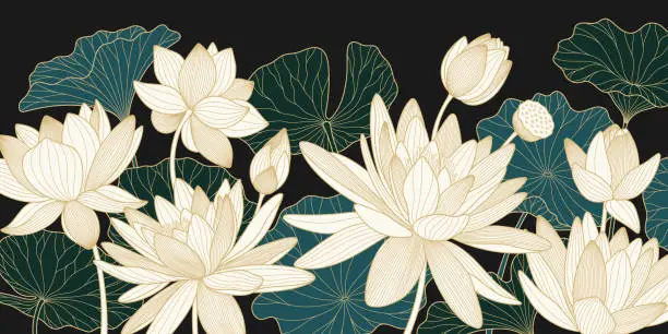 Vector illustration of Vector background with golden lotuses and leaves. Luxury design template with line lily. Nelumbo nucifera flower for banners, invitations, cover and packaging design