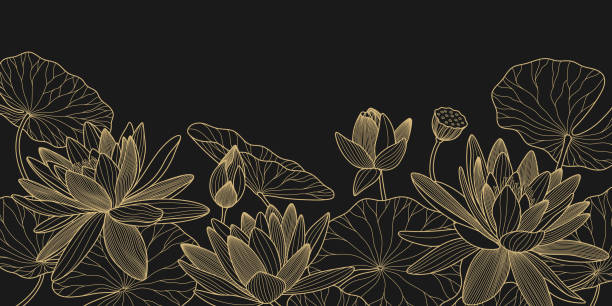 illustrations, cliparts, dessins animés et icônes de fond vectoriel lotus doré. modèle de design de luxe avec ligne de lys et feuilles. fleur nelumbo nucifera pour bannières, invitations, conception de couverture et d’emballage - gold leaf backgrounds gold ornate