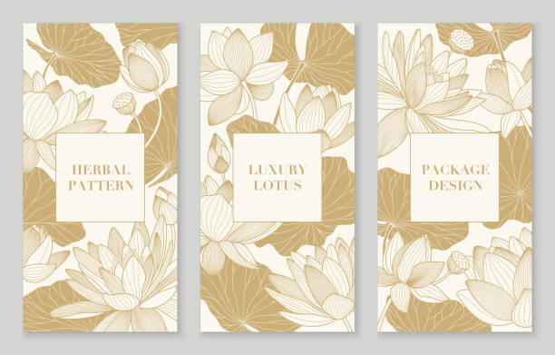 ilustrações de stock, clip art, desenhos animados e ícones de banner set of golden patterns with lotuses and leaves. luxury package design with line lily. template for chinese banners, cover, label, pattern. elegant oriental nelumbo nucifera - lotus leaf