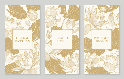 Banner set of golden patterns with lotuses and leaves. Luxury package design with line lily. Template for Chinese banners, cover, label, pattern. Elegant oriental nelumbo nucifera